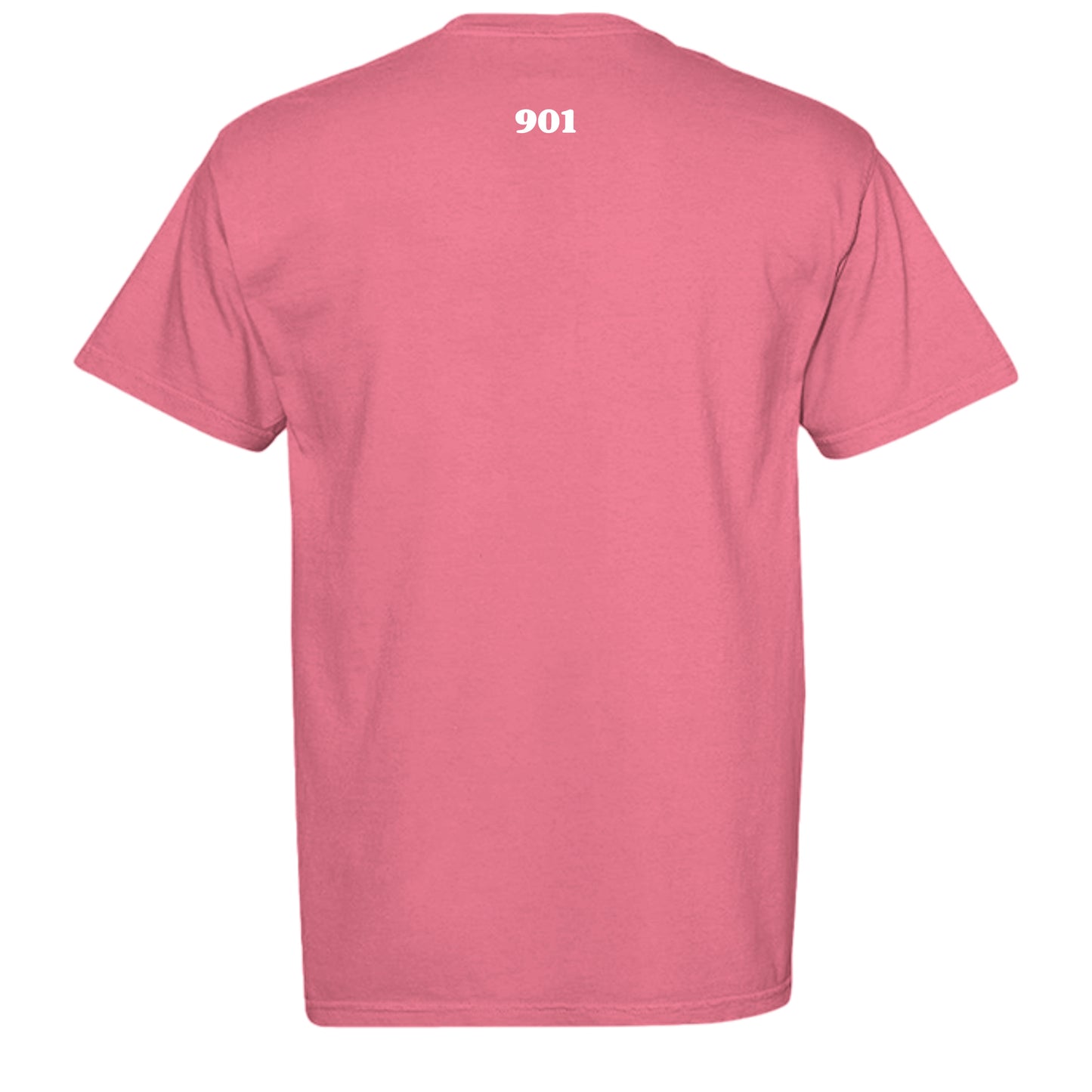 WATERMELON - C1717 - BACK